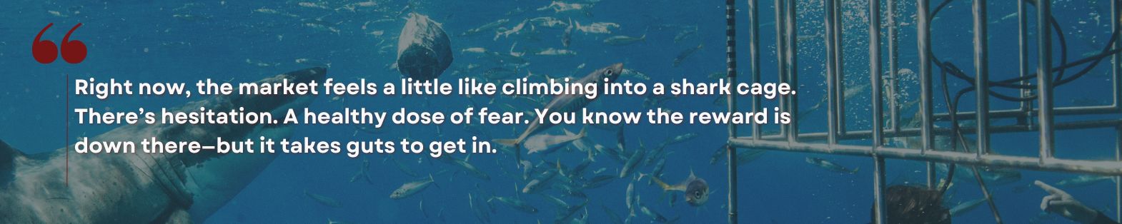 Shark cage quote